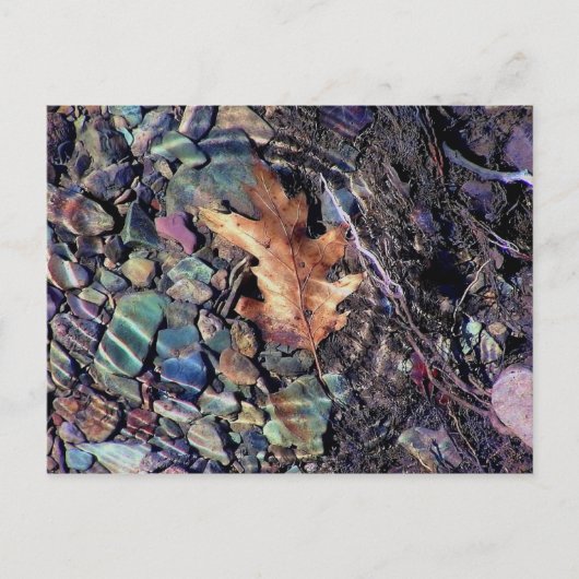 Ringe aus hellem Wasser Postkarte (Vorderseite)