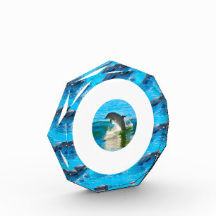 Ringe der Delphine, Fotoblock