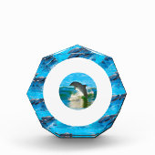Ringe der Delphine, Fotoblock (Vorderseite)
