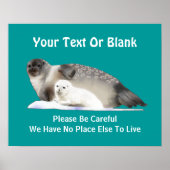 Ringed Siegel - Auf dünnen Eis Poster (Vorne)