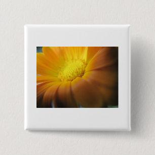 Ringelblume Button