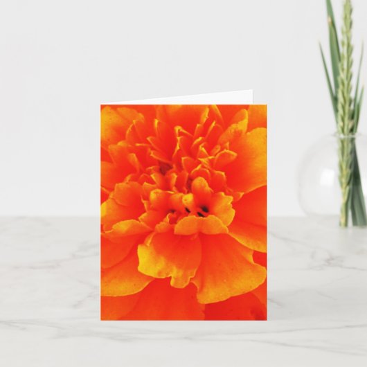 Ringelblume Karte (Vorderseite)