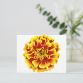Ringelblume Postkarte (Stehend Vorderseite)