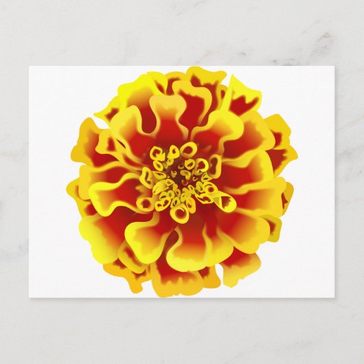 Ringelblume Postkarte (Vorderseite)