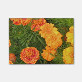 Ringelblumen-Blumen Post-it Klebezettel