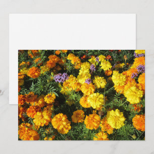 Ringelblumen Feiertagskarte