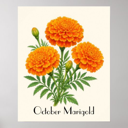 Ringelblumen im Oktober Poster (Vorne)
