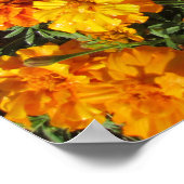 Ringelblumen Poster (Ecke)