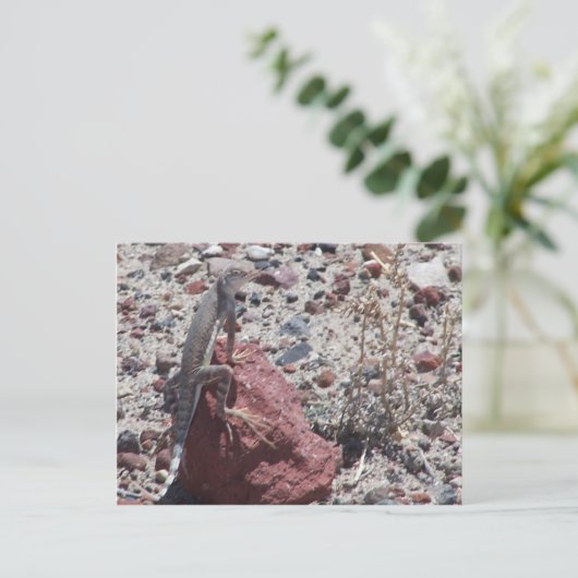 Ringeleise Postkarte (Stehend Vorderseite)