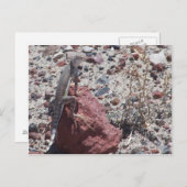 Ringeleise Postkarte (Vorne/Hinten)