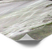 Ringelgans-Foto-Poster Poster (Ecke)