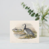 Ringelgans von Joseph Wolf Postkarte (Stehend Vorderseite)