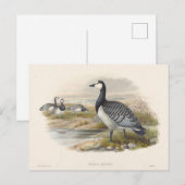 Ringelgans von Joseph Wolf Postkarte (Vorne/Hinten)