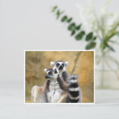 Ringelmagen-Liebe Postkarte (Stehend Vorderseite)