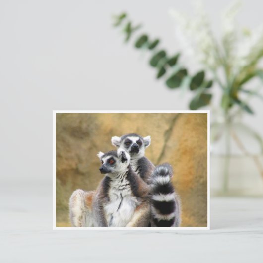 Ringelmagen-Liebe Postkarte (Stehend Vorderseite)