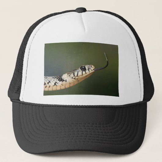 Ringelnatter Truckerkappe (Vorderseite)