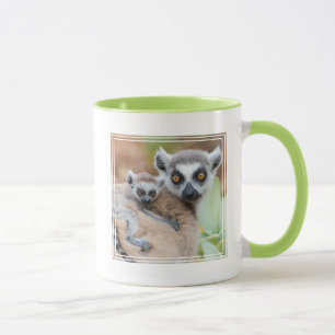 Ringelschwanzmaki-Baby auf dem Rücken seiner Mutte Tasse