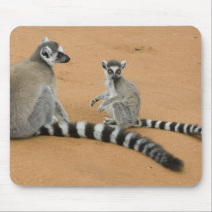 Ringelschwanzmakis, (Lemur catta), Berenty Mousepad