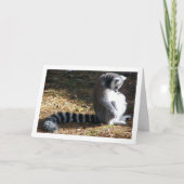 Ringelschwanzwerk Karte (Vorderseite)