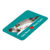 RingelSiegel Magnet (Linke Seite)