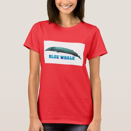 Ringer-T - Shirt (Vorderseite)