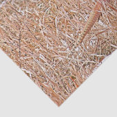 Ringhalsbläser Seidenpapier (Detail)