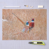 Ringhalsbläser Seidenpapier (Handwerk)