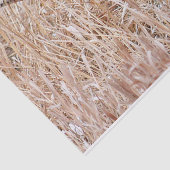 Ringhalsbläser Seidenpapier (Detail)