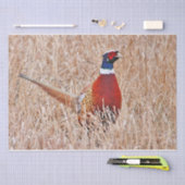 Ringhalsbläser Seidenpapier (Handwerk)