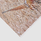 Ringhalsbläser Seidenpapier (Ausschnitt)