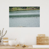 Ringhalsente Poster (Küche)