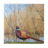 Ringhalshaltiger Pheasant-Untersetzer Fliese (Vorderseite)