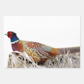 Ringhaltiges Foto-Geschenkpapier Geschenkpapier Set (Vorderseite 3)