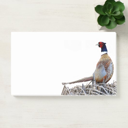 Ringhaltiges Foto Post-it Klebezettel (Büro)