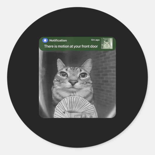 Ringkatze mit Bewegungs-Meme Runder Aufkleber (Vorderseite)