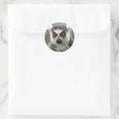 Ringlemur Runder Aufkleber (Tasche)