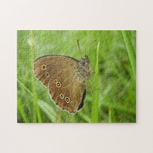 Ringlet Butterfly Foto Puzzle mit Geschenkboxen (Horizontal)