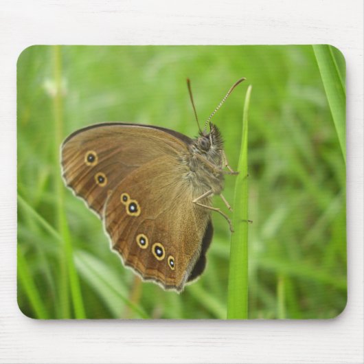 Ringlet Butterfly Mouse Mat Mousepad (Vorne)