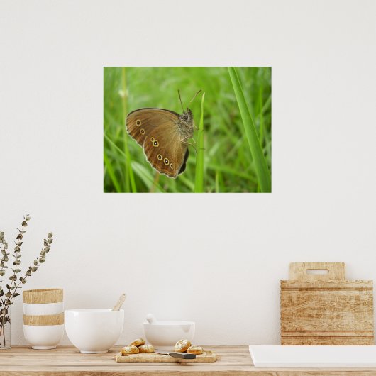 Ringlet Butterfly Poster (Küche)