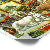 Ringling Bros' / Aviär & Aquarium Poster (Ecke)