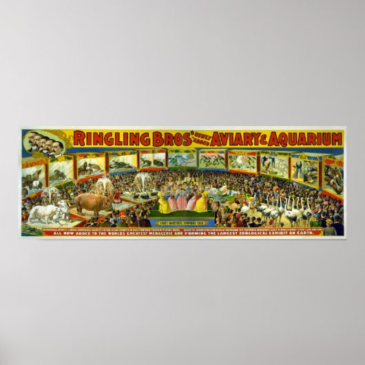 Ringling Bros' / Aviär & Aquarium Poster (Vorne)