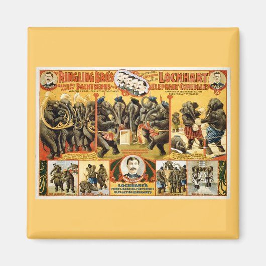 Ringling Bros Pachyderme1899 Magnet (Vorne)