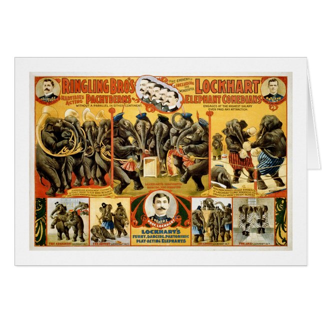 Ringling Bros Pachyderms1899 (Vorderseite (Horizontal))