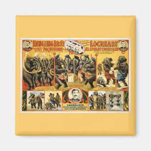 Ringling Bros Pachyderms1899 Magnet