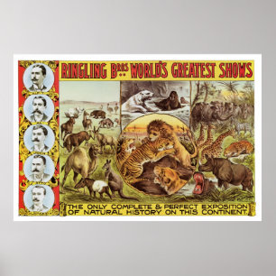 Ringling Bros. Wilde Tierwerbung in den 1900er Jah Poster