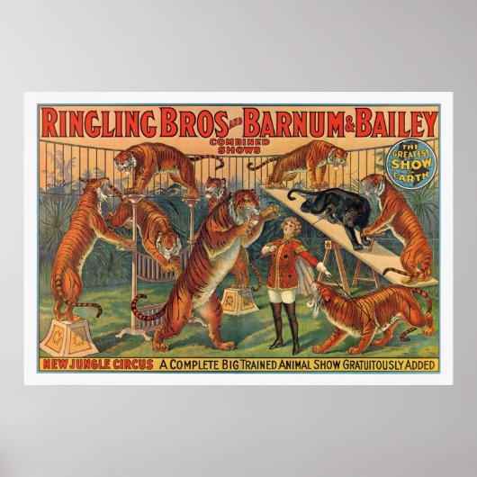 Ringling Brothers Barnum and Bailey Tigers Poster (Vorne)