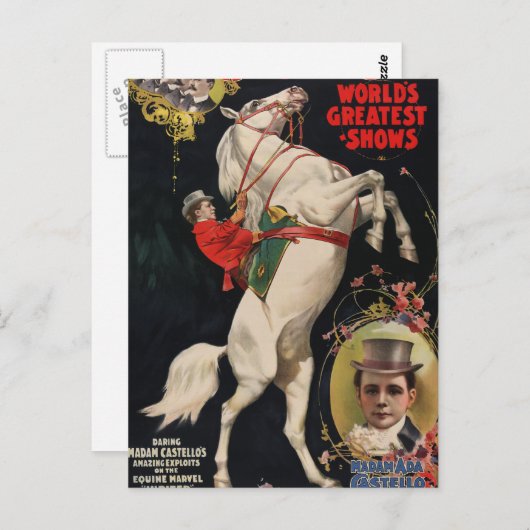 Ringling Brothers Pferde Postkarte (Vorne/Hinten)