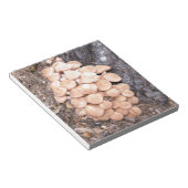 Ringlose Honigpilze Notizblock (angewinkelt)