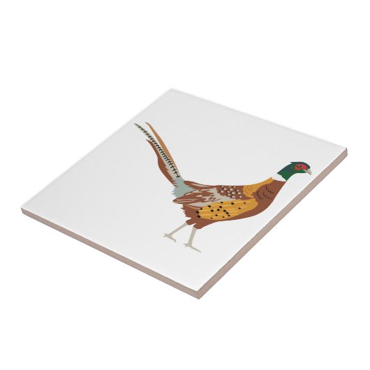 Ringnäckchen Fliese (Seite)