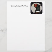 Ringneck (Vorderseite)